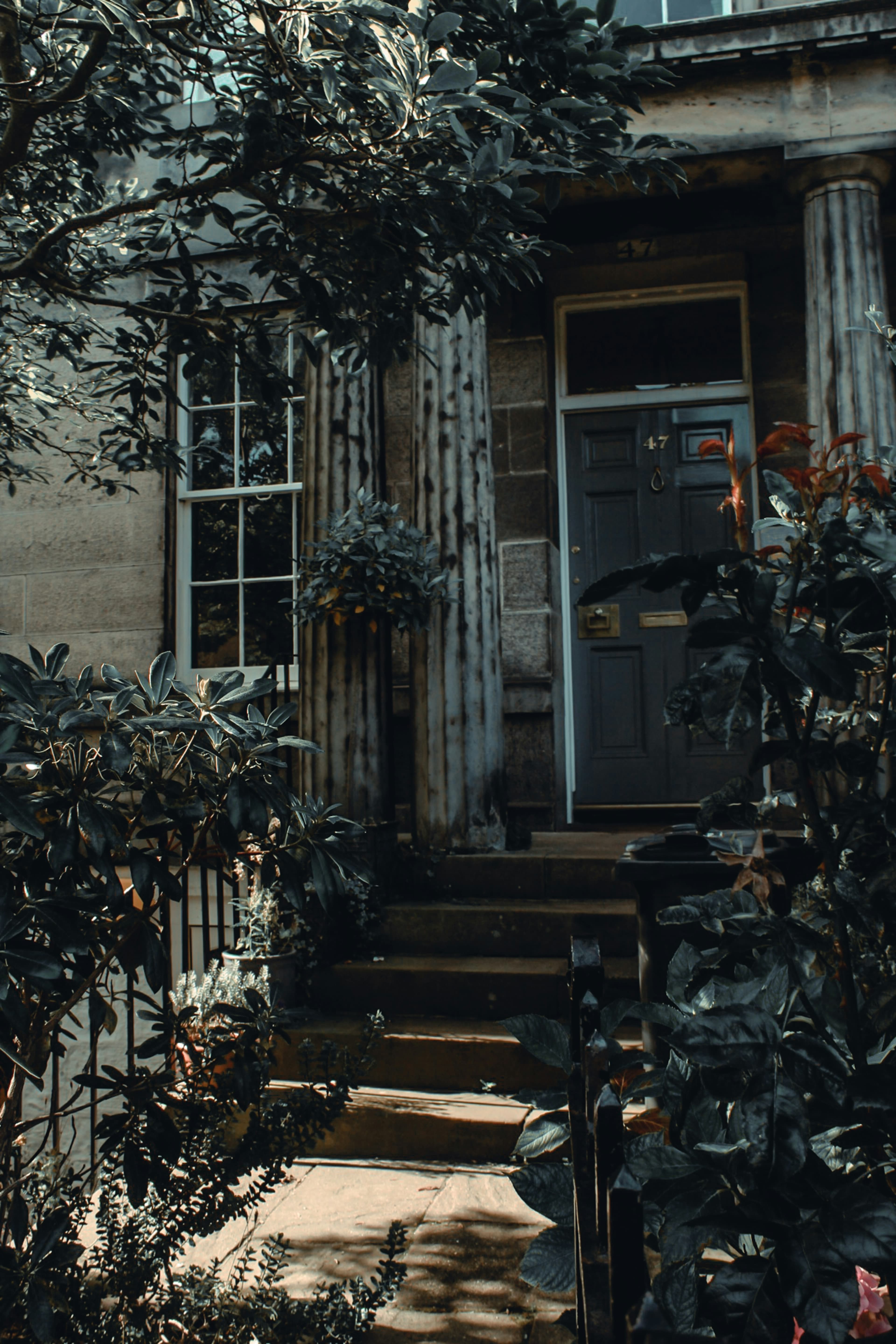 The front entrance of a home, framed by autumn trees